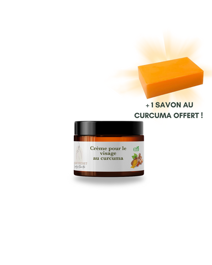 Crème Visage Curcuma Peaux Mixtes